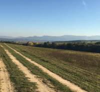 Prievidza – 986 m2 ORNÁ PÔDA - PREDAJ - Poľnohospodárske a lesné pozemky, poľná cesta s výhľadom na kopce v okolí Prievidze.
