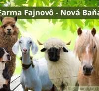 Na predaj slnečný pozemok 5854 m² – Župkov, tichá lokalita s výhľadom - Na Farme Fajnovo v Novej Bani sú alpaka, pes, koza, ovca a kôň.