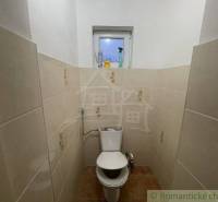 Zrekonštruovaný rodinný dom v tichej lokalite v obci Palárikovo - Malá kúpeľňa s keramickými obkladmi, WC a oknom v rodinnom dome.