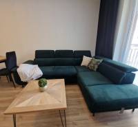 2 IZBOVÝ BYT S KRYTÝM PARK. MIESTOM, NOVOSTAVBA **Pri parku** Senica  - Pohodlná sedačka v 2-izbovom byte s dreveným stolíkom a izbovou rastlinou.