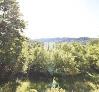 Predaj chaty a chalupy, Bytča - Lesnatá krajina pri chate v Bytči, slnečné lúče cez stromy.