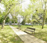 2 izbový zrekonštruovaný byt, balkón, tehlový dom, Štrkovec - Park v Bratislava - Ružinov, Smolnícka, stromy, lavičky a chodník, atmosféra oddychu.