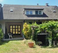 Predaj rodinného domu, Neusiedl am See - Rodinný dom v Potzneusiedli so záhradou, rastlinami a viditeľným poschodím s oknami.