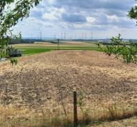 Predaj rodinného domu, Bruck an der Leitha - Pohľad z Hundsheimu: pole obklopené stromami a veternými turbínami v diaľke.