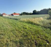 BOJNA - investičný pozemok na výstavbu RD, výborna lokalita - Trávnaté pozemky na bývanie v Bojnej; domy, pole a cesta vedľa lesa.