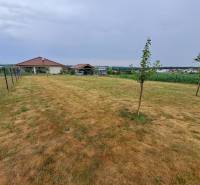 Predáme investičný pozemok, 633 m2, Nitra - Párovské Háje - Pozemok na bývanie v Nitre s trávnikom, plotom a stromami, vzdialené budovy.