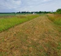 Predáme investičný pozemok, 633 m2, Nitra - Párovské Háje - Zeleň a poľná cesta v oblasti pozemkov na bývanie v Nitre.
