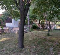 CHORVÁTSKO - 2. rad od mora - apartmánový dom - VRSI, Zadar - Záhrada s trávnikom a stromami pri rodinnom dome vo Vrsiach, obklopená zeleňou a kríkmi.