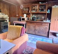 Murovaná záhradná chata, 361 m2, Zvolen - Sekier - Drevený interiér chaty s krbom, pohovkami a rustikálnym nábytkom.