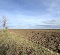 Investičný pozemok na predaj 51 028 m2 – obec Cífer - Obrázok zobrazuje široké polia a pozemky pod modrou oblohou.