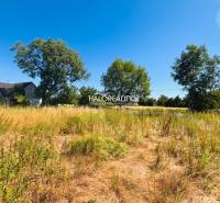 Predaj, pozemok pre rodinný dom   850 m2 Horná Krupá... - Pozemky na bývanie v Hornej Krupej s trávou a stromami pod modrou oblohou.