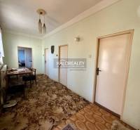 Predaj, rodinný dom Padarovce - EXKLUZÍVNE HALO REALITY - Interiér rodinného domu s chodbou, stolom, stoličkami a kobercom.
