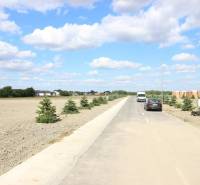 Luxusná veľkometrážna parcela za skvelú cenu Kvetoslavov,2480m2 - Cesta lemujúca mladé stromčeky na ulici Lesopark, s pozemkami vhodnými na bývanie.