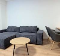 BÝVAJ PRVÝ v 2i byte, DIAMNAT, BALKÓN, KLÍMA, PARKING, Rybničná ulica - Sedačka a konferenčný stolík v svetlom 2-izbovom byte s drevenou podlahou.