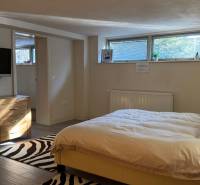 NA PREDAJ 300m2 dom, 20á pozemok, bazén Nitra - Vinodol - Spálňa, nábytok, televízor, kvet, posteľ, rodinný dom, okno, koberec, svietidlo.