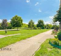 PRIESTRANNÝ 3 IZBOVÝ BYT | TOPOĽČANY | STREĎANSKÁ - Zelený park so stromami vedľa bytovky na Streďanskej ulici v Topoľčanoch.
