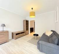 3 izbový byt  Borodáčová ulica, Bratislava - Ružinov - Poseň - Obývacia izba v 3-izbovom byte s pohovkou, dreveným nábytkom a svietidlom.