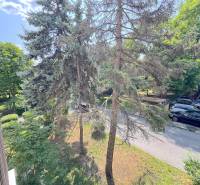 3 izbový byt  Borodáčová ulica, Bratislava - Ružinov - Poseň - Výhľad z balkóna 3-izbového bytu na Borodáčovej ulici, Bratislava - Ružinov, stromy a parkovisko.