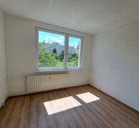 REZERVOVANÉ! Predáme  garsónku, 21 m2, Mikovíniho ul., Nitra - Izba s drevenou podlahou, veľkým oknom a radiátorom v garsónke.