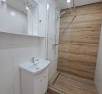 REZERVOVANÉ! Predáme  garsónku, 21 m2, Mikovíniho ul., Nitra - Garsónka s kúpeľňou a sprchovým kútom, biele skrinky, drevený obklad stien.