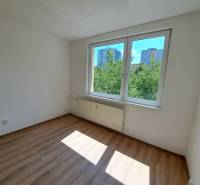 REZERVOVANÉ! Predáme  garsónku, 21 m2, Mikovíniho ul., Nitra - Garsónka s veľkým oknom, biela stena, drevená podlaha, výhľad na zeleň.