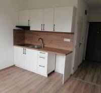REZERVOVANÉ! Predáme  garsónku, 21 m2, Mikovíniho ul., Nitra - Garsónka s bielou kuchynskou linkou a drevenou podlahou.