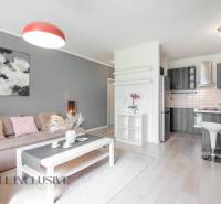 ALL INCLUSIVE REAL I KRÁSNY 2 IZBOVÝ BYT S BALKÓNOM GALANTA WEST - Obývacia izba s kuchyňou v 2-izbovom byte, svetlé drevené podlahy, šedý nábytok.