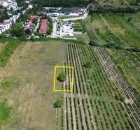 Stavebný pozemok 545m2 | Fongy - Rača - Letecký pohľad na vinice a pozemky - bývanie v Bratislave - Rači.