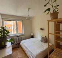 Prenájom 4izb-byt, Bratislava-Karlova Ves - Svetlá spálňa so zeleňou a cvičebným strojom v 4-izbovom byte.