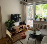Prenájom 4izb-byt, Bratislava-Karlova Ves - Obývacia izba so sedačkou, TV a izbovými rastlinami v 4-izbovom byte.