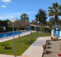 TORREVIEJA -  garsónka v Torreblanca, blízko mora s bazénom - Bazén s palmami a zeleňou v oblasti ulice cl. Aquiles, Torrevieja.