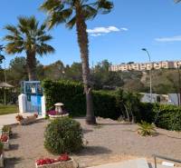 TORREVIEJA -  garsónka v Torreblanca, blízko mora s bazénom - Park a palmami a zeleňou v Torrevieji na ulici cl. Aquiles, garsónka.