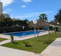 TORREVIEJA -  garsónka v Torreblanca, blízko mora s bazénom - Bazén s palmami a zeleňou na ulici cl. Aquiles v Torrevieja, vhodný pre obyvateľov garsónky.
