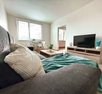 - EXKLUZÍVNE - PREDAJ - 3,5 IZBOVÝ BYT - LEVICE - Pohodlná obývacia izba v 4-izbovom byte s pohovkou, stolíkom a televíziou.