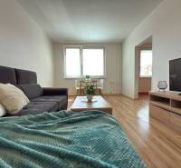 - EXKLUZÍVNE - PREDAJ - 3,5 IZBOVÝ BYT - LEVICE - Svetlá obývačka v 4-izbovom byte s pohovkou, dekou a televízorom.