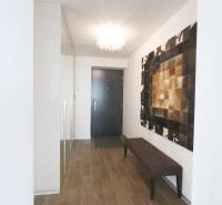 Prenájom luxusného 3 izbového bytu v objekte EUROVEA TOWER - Chodba v 3-izbovom byte s podlahou s dreveným dekorom a elegantným osvetlením.