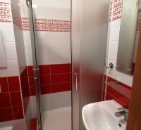 2 izbový byt na prenájom Vrútky, balkón - Kúpeľňa so sprchovacím kútom a umývadlom v 2-izbovom byte s červenými obkladmi.