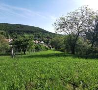 PREDAJ-vidiecky dom s veľkým pozemkom pod lesom, Nitr.Sučany, okr.PD - Rodinný dom v Nitrianskych Sučanoch ponúka výhľad na prírodu a kopcovité pozadie.