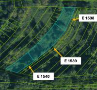 Omastiná – 9.909 m2 LESY a PASIENKY – PREDAJ - Katastrálna mapa zobrazujúca poľnohospodárske a lesné pozemky pri Omastinej s parcelnými číslami.