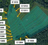 Omastiná – 9.909 m2 LESY a PASIENKY – PREDAJ - Mapa poľnohospodárskych a lesných pozemkov v Omastinej s označenými parcelami.