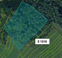 Omastiná – 9.909 m2 LESY a PASIENKY – PREDAJ - Mapa zachytáva parcely lesných pozemkov v oblasti Omastiná.