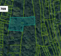 Omastiná – 9.909 m2 LESY a PASIENKY – PREDAJ - Katastrálna mapa poľnohospodárskych a lesných pozemkov v Omastinej.