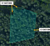 Omastiná – 9.909 m2 LESY a PASIENKY – PREDAJ - Mapa katastra s parcelami v Omastinej, poľnohospodárske a lesné pozemky.