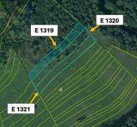 Omastiná – 9.909 m2 LESY a PASIENKY – PREDAJ - Katastrálna mapa poľnohospodárskych a lesných pozemkov v Omastinej s parcelnými číslami.