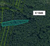 Omastiná – 9.909 m2 LESY a PASIENKY – PREDAJ - Letecká snímka lesného pozemku v Omastinej s parcelným číslom E 1345.