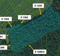 Omastiná – 9.909 m2 LESY a PASIENKY – PREDAJ - Katastrálna mapa poľnohospodárskych a lesných pozemkov v Omastinej s parcelnými číslami.