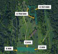 Omastiná – 9.909 m2 LESY a PASIENKY – PREDAJ - Katastrálna mapa poľnohospodárskych a lesných pozemkov v oblasti Omastiná s označením parcel.