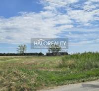 Predaj, investičný pozemok 13665 m2 Čierny Brod - EX... - Poľnohospodárske a lesné pozemky v Čiernom Brode, otvorená krajina s elektrickým vedením.