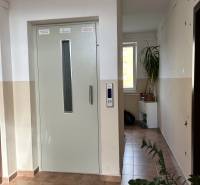 NOVINKA 2-IZBOVÝ BYT NA PREDAJ, ARM. GEN. SVOBODU, 57M2, PREŠOV - Interiér 2-izbového bytu s výťahom, rastlinami a svetlom z okna na chodbe.