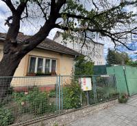 Na predaj starší rodinný dom v centre Ilavy – pozemok 280 m² - Rodinný dom v Ilave s predzáhradkou a veľkým stromom pri chodníku.
